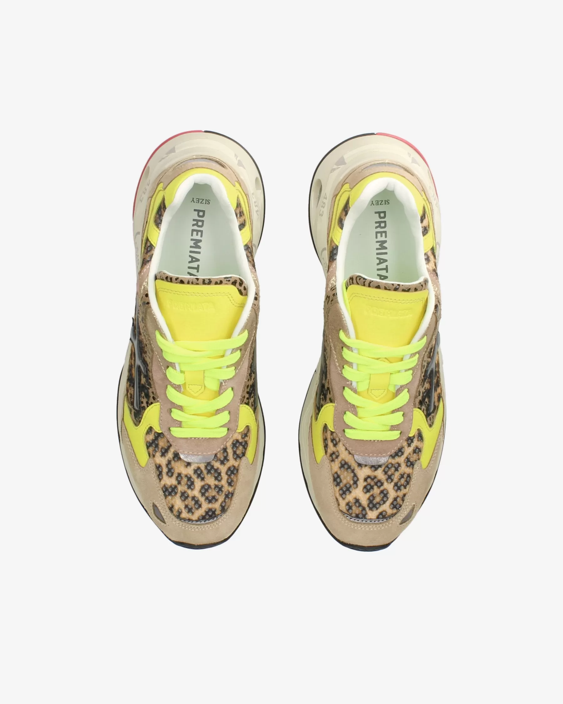 sharkyd___5-5.webp Premiata SHARKYD 365 Clearance